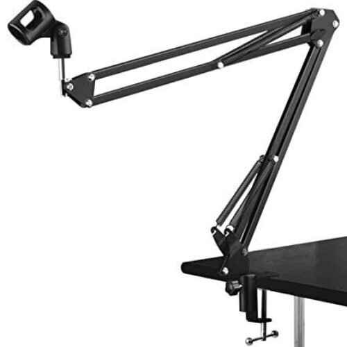 Professional Recording Microphone...